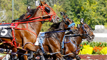 Harness race at Saratoga Raceway