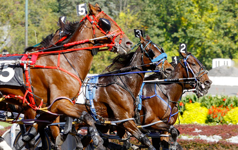 Saratoga Harness Racing Saratoga Harness Racing
