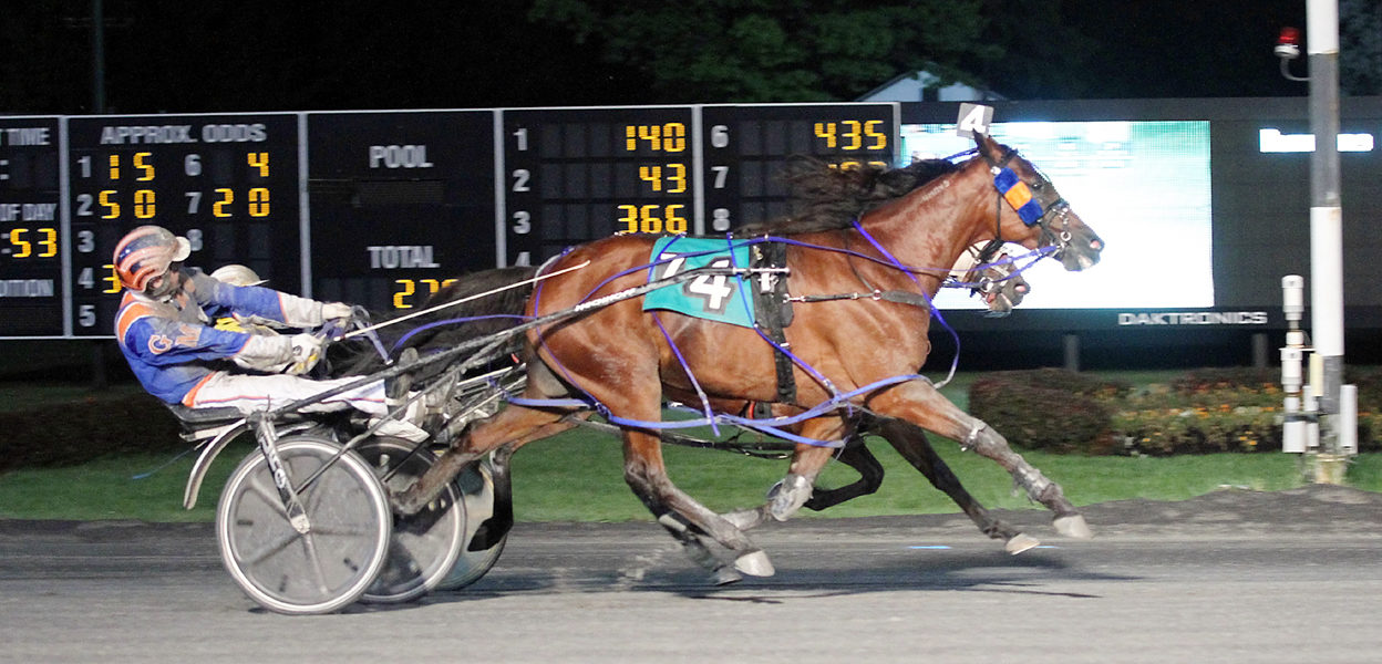 Panocchio &Gerry Mattison