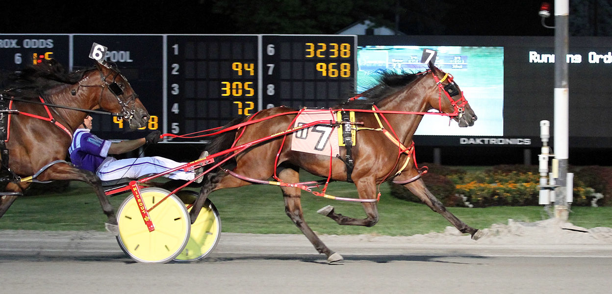 Roaring To Go &  Brett Miller