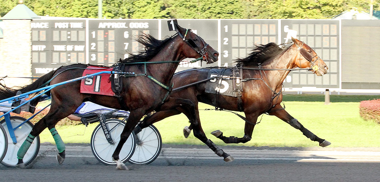 Sammy De Vie & Austin Siegelman