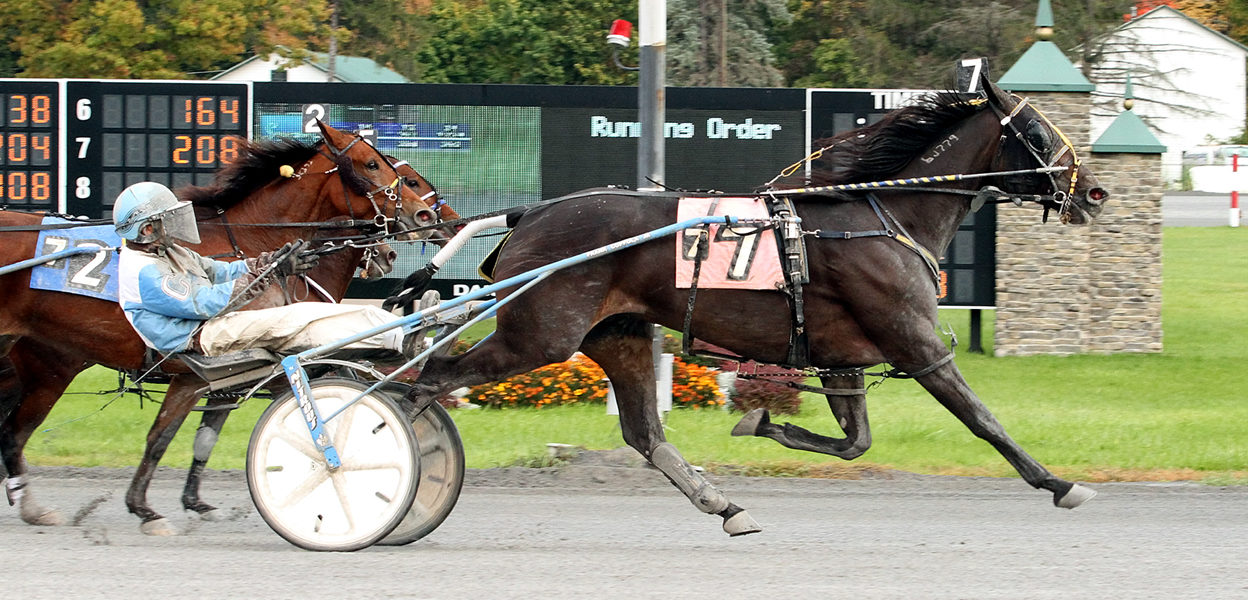 Stirling Cadet & Frank Coppola Jr.