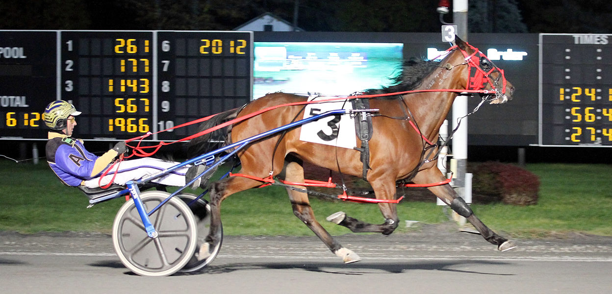 Glenferrie Bronte N & Bruce Aldrich Jr