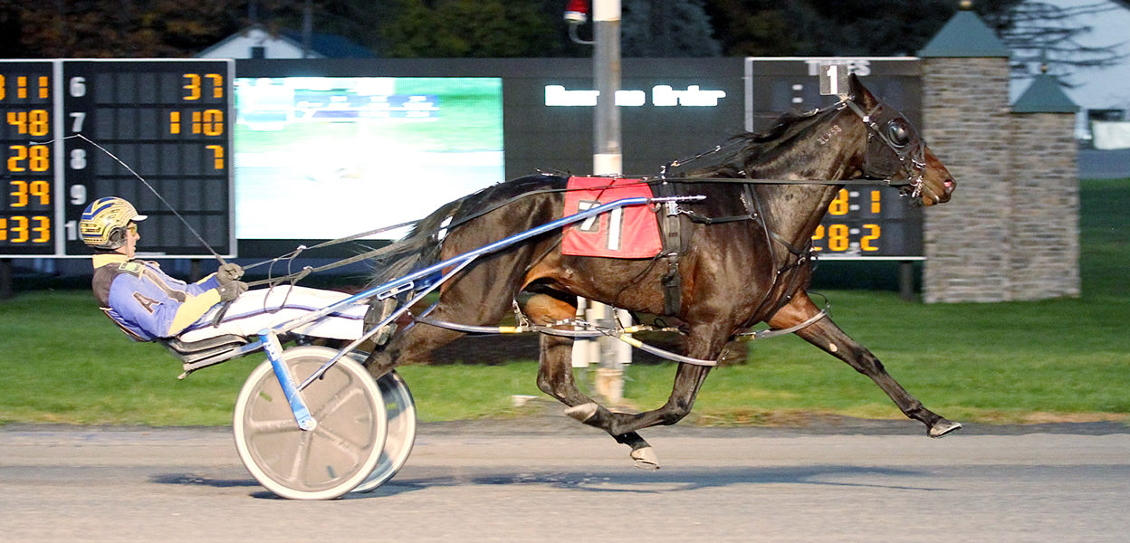 Wishiwasagigolo & Bruce Aldrich Jr