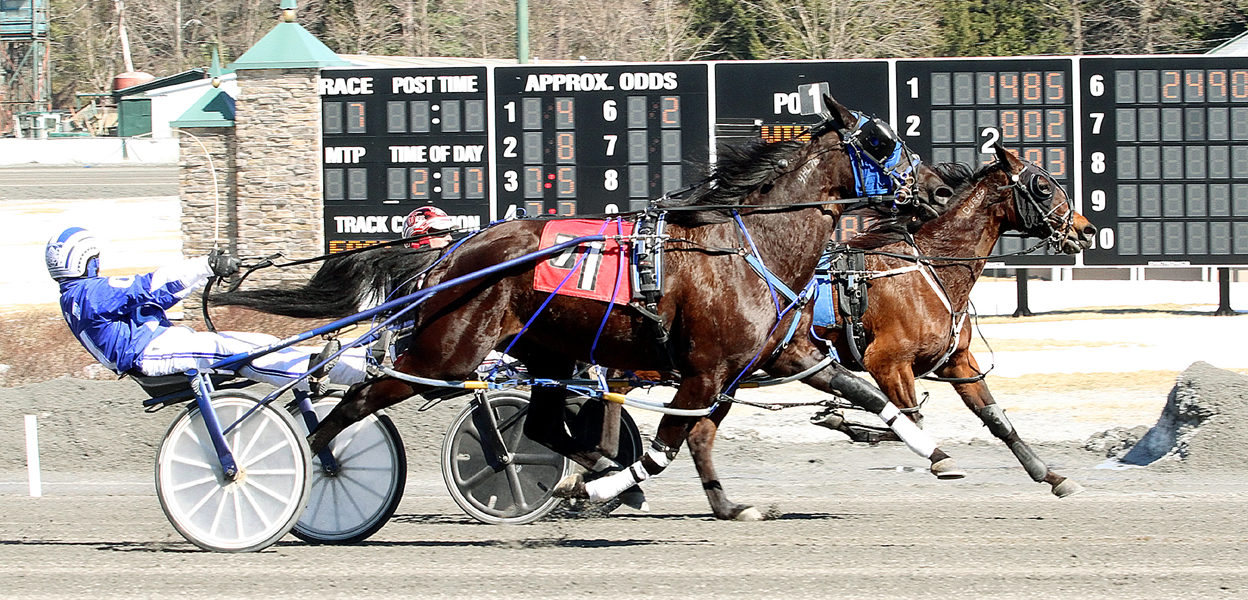 Annabeth & Mark Beckwith