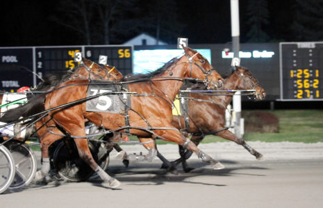 Saratoga Harness Raceway Entries.Harness.Wiring Harness Wiring Diagram ...