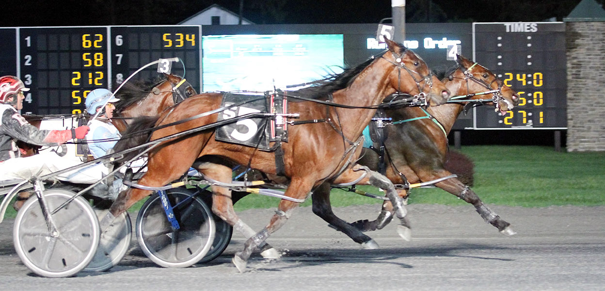 My Tweed Heart & Frank Coppola Jr