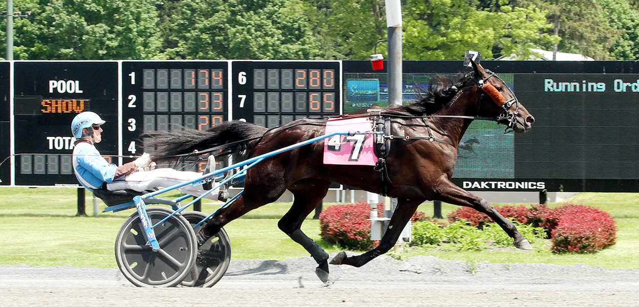 Hotel Royale & Frank Coppola Jr