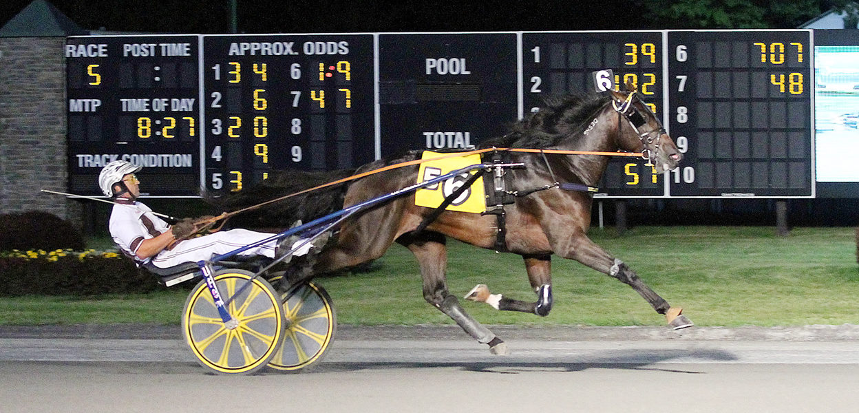 Fourth Dimension & Brian Sears