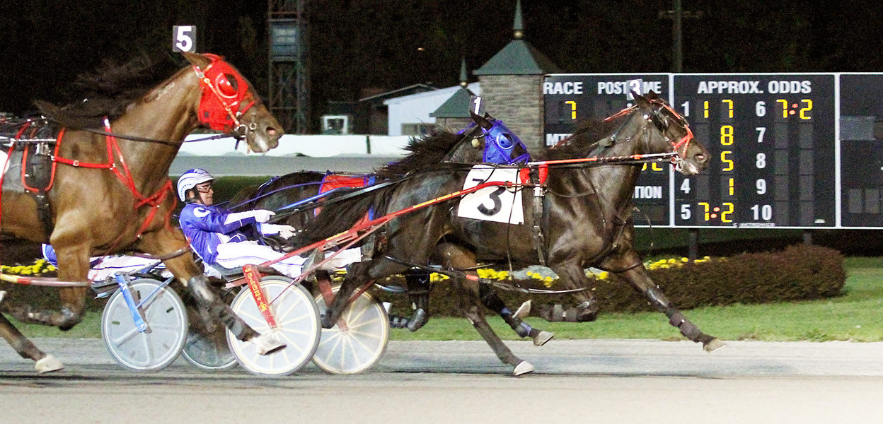 Brown Brinny & Dan Cappello