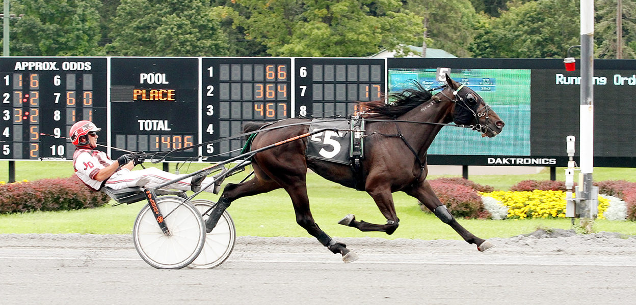 Congo King & Jim Devaux