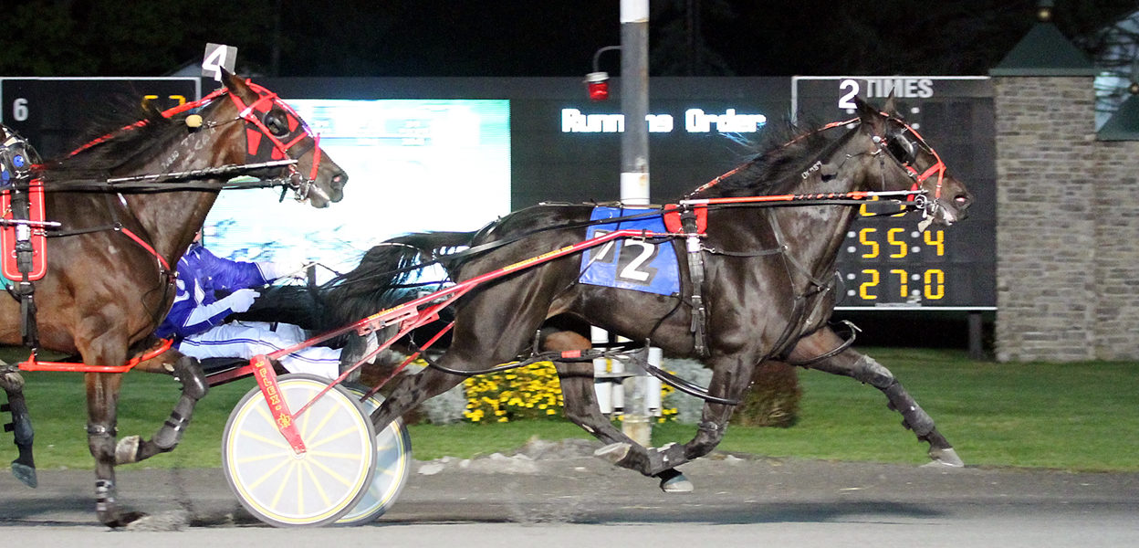 Brown Brinny & Dan Cappello