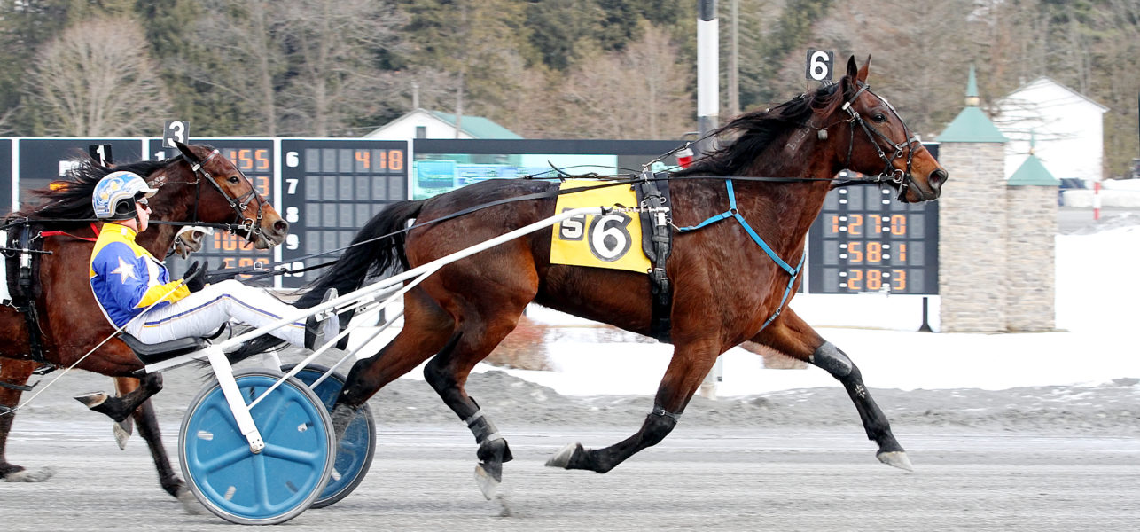 Ulster & Jay Randall