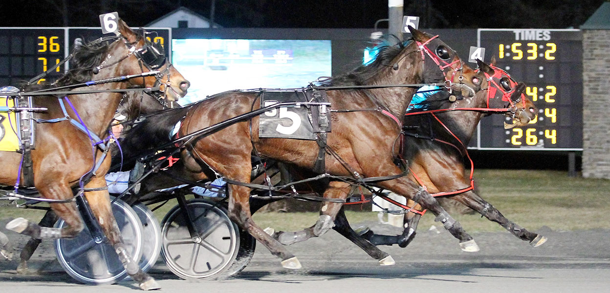 Betabcool N & Bruce Aldrich