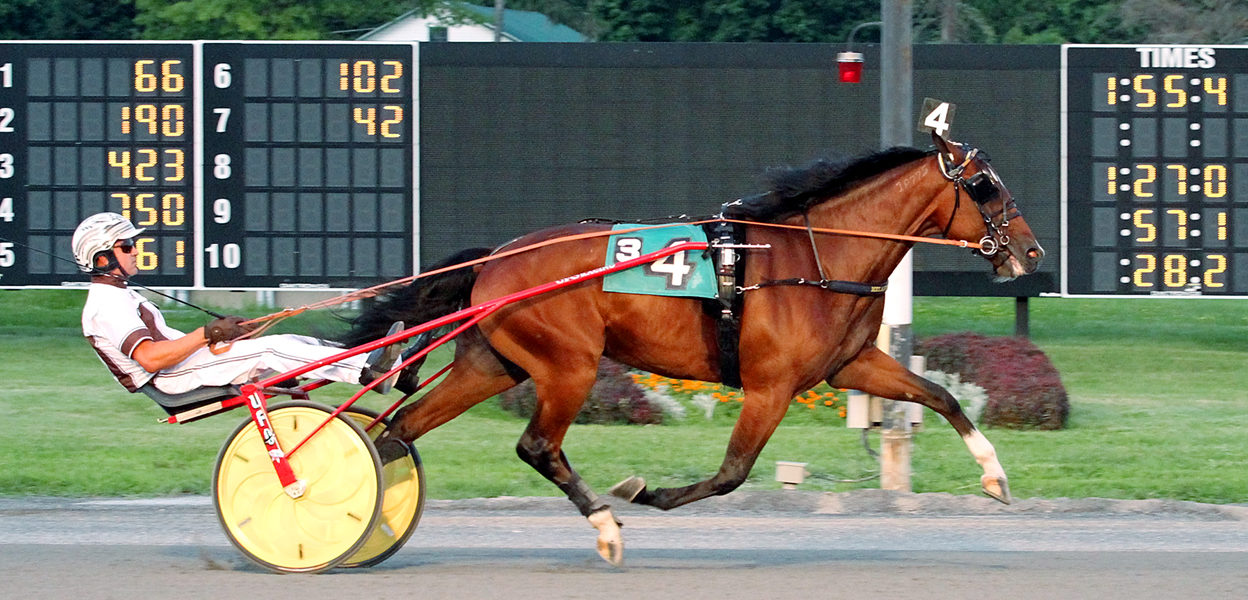 Gimpanzee & Brian Sears