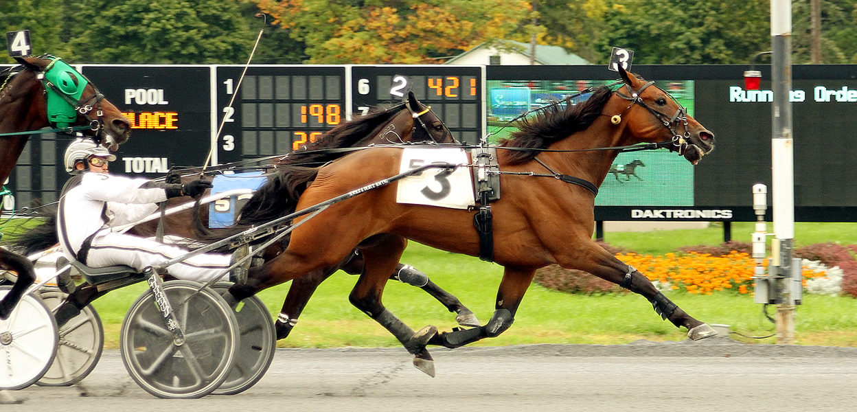 Piercewave Hanover & Jordan Derue