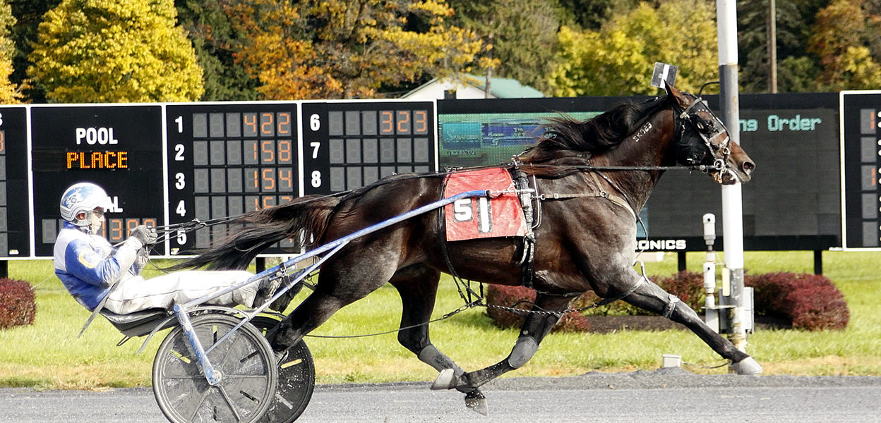 Wings of Royalty & Shawn Gray