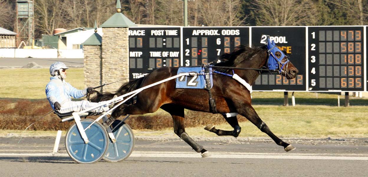 The Royal Harry & Billy Dobson