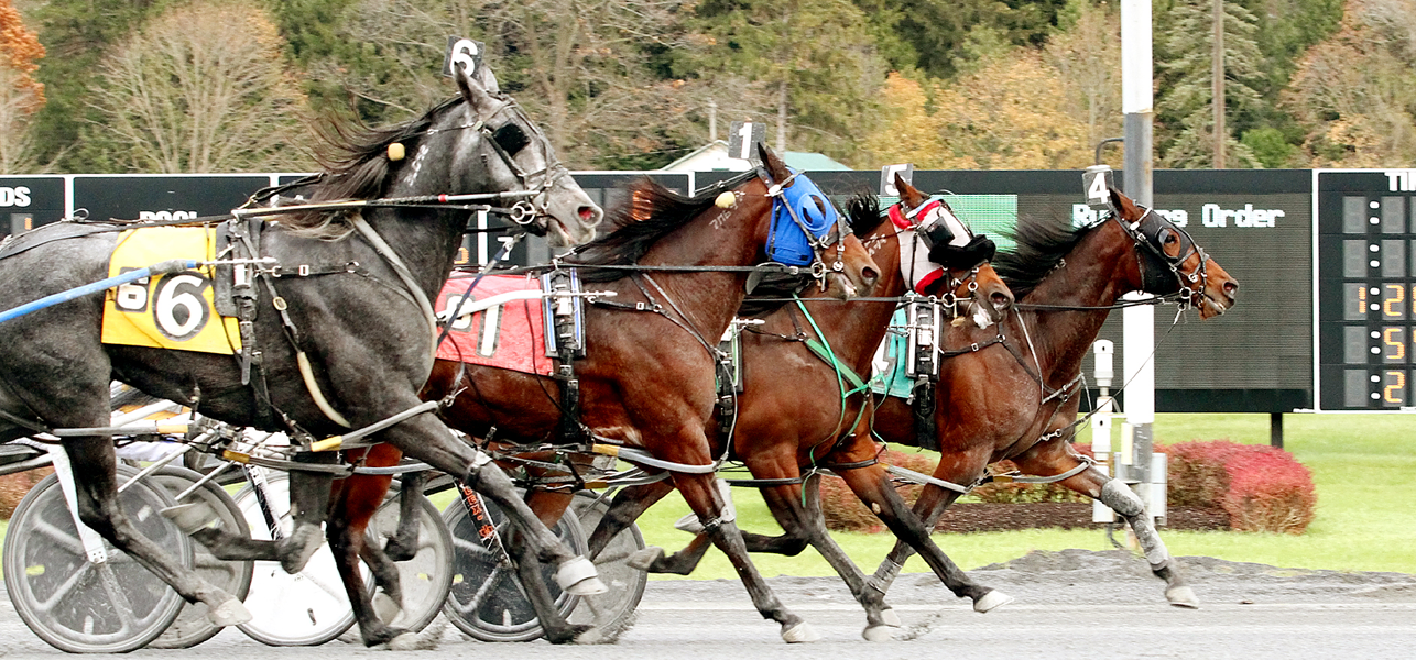 Saratoga Casino Hotel Set For The 78th Season Of Harness Racing 
