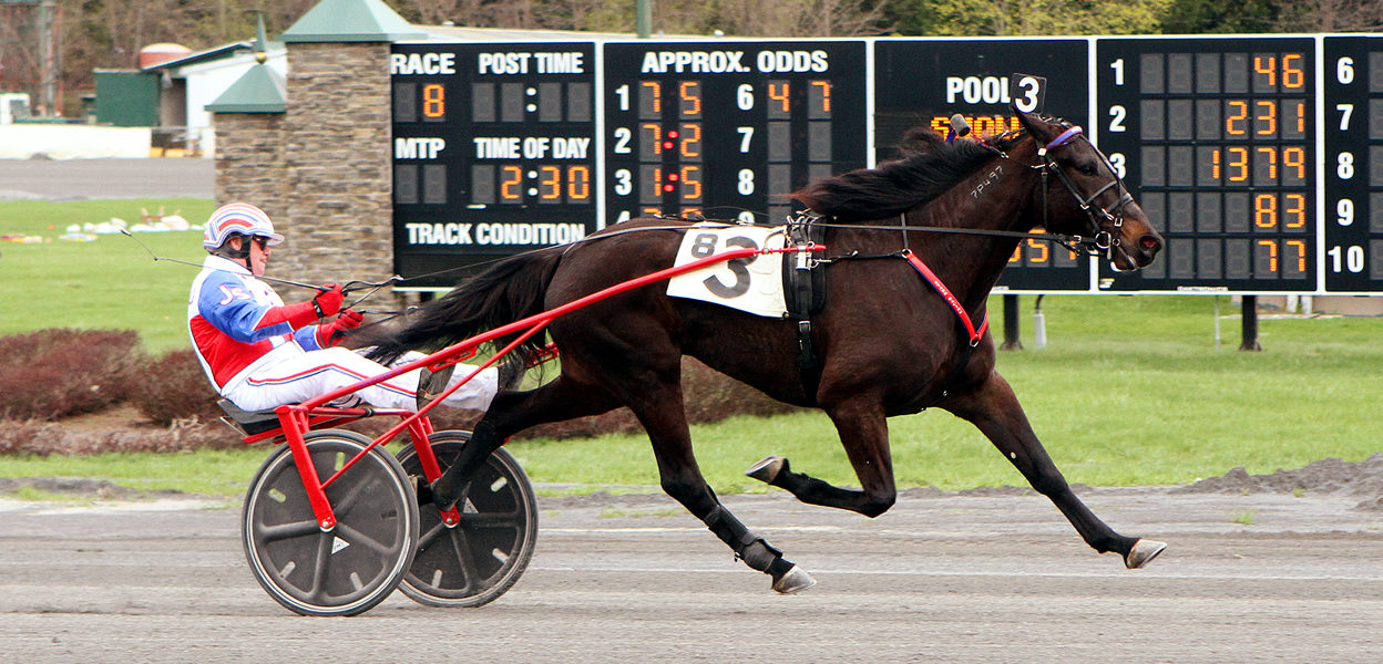 Xcuseme & John Stark Jr