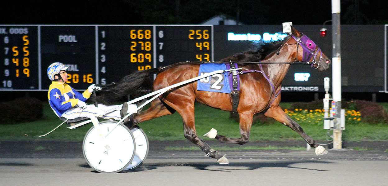 Aerial Flight & Jay Randall