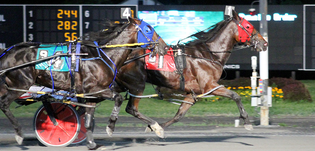 Delightful Joe & Brett Crawford