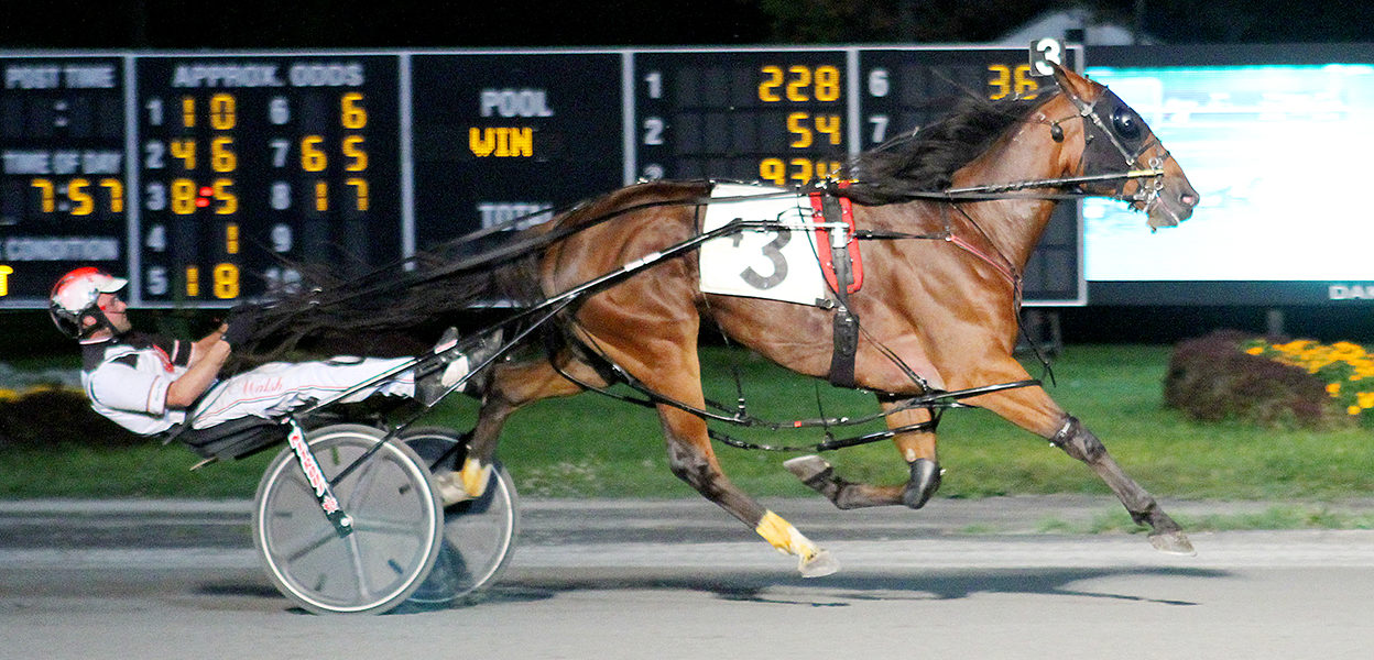 Century Ferrari & Marcus Miller