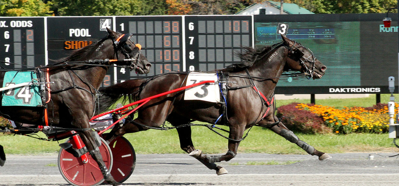 Bye Bye Felicia & Mark Beckwith