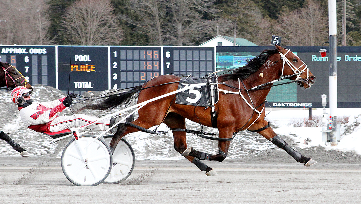 Crockets Cullen N & Larry Stalbaum - Saratoga NY