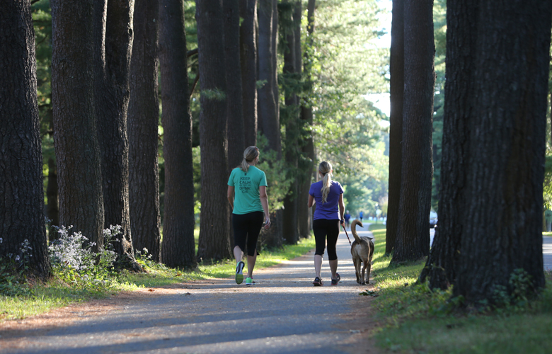 People walking with a dog in Saratoga State Park