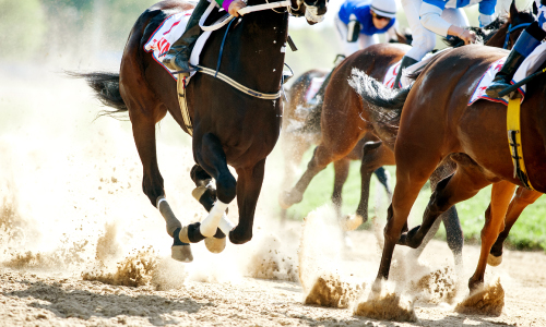 Thoroughbred horses running and kicking up dirt