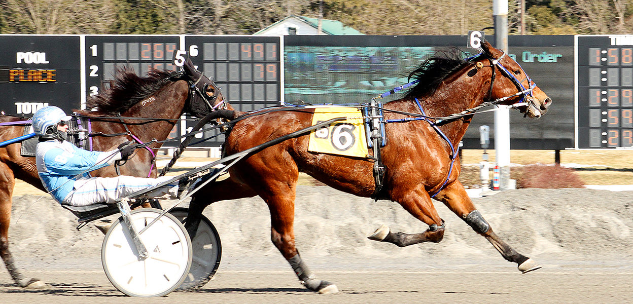 Gruden & Billy Dobson