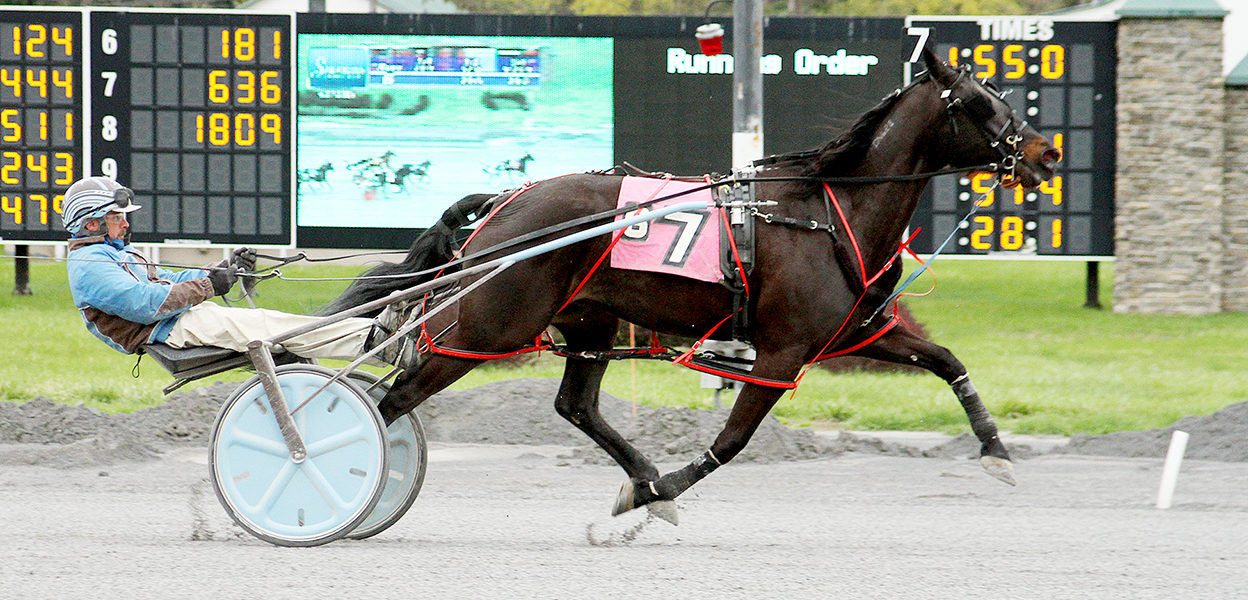 Surreal Feeling & Alek Chartrand