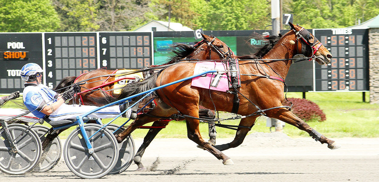 Some Waratah A & Greg Merton