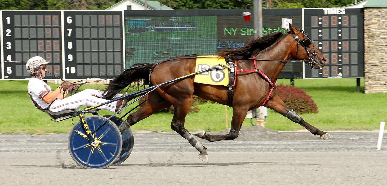 Molotov Cocktail & Brian Sears