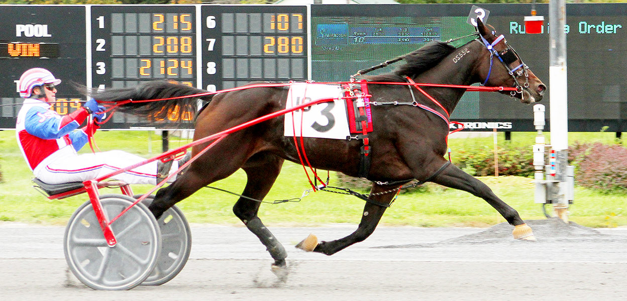 Cindy Michelle & John Stark Jr.