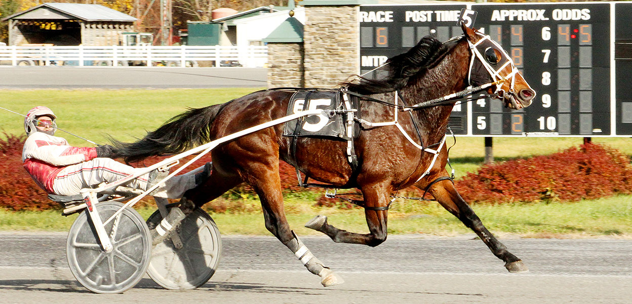 Big Box Hanover & Larry Stalbaum