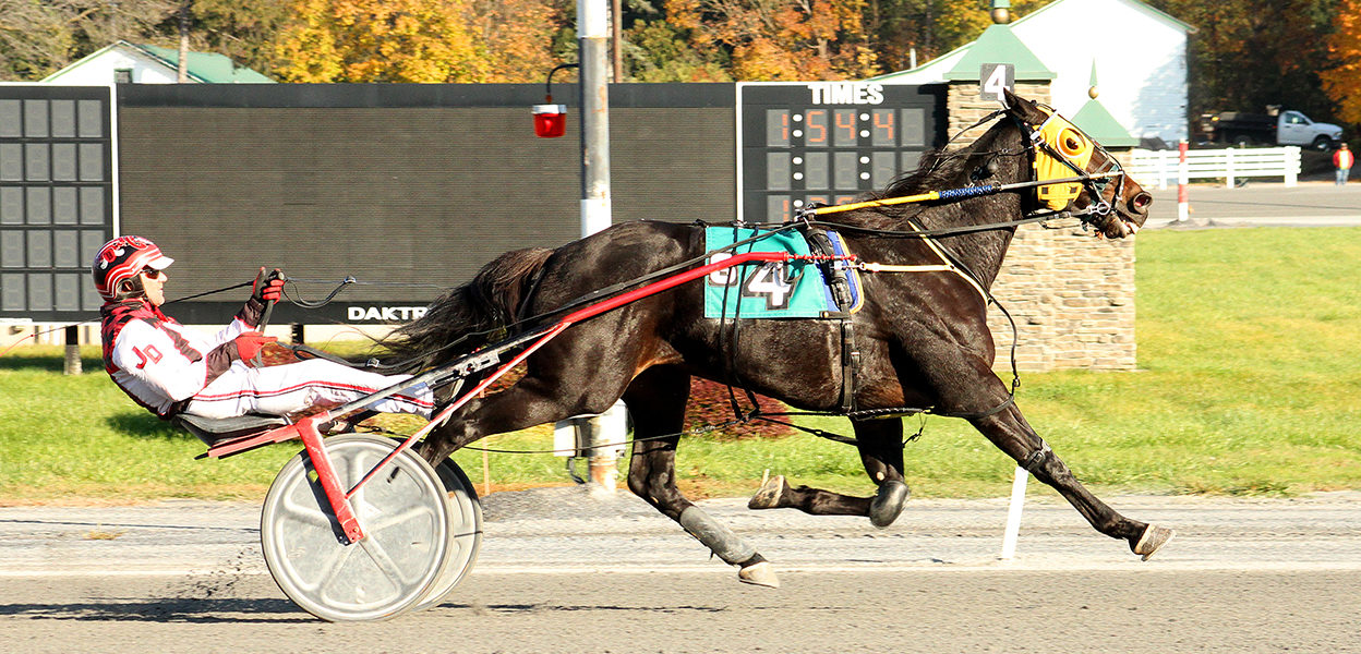 Madhatter Bluechip & Jimmy Devaux