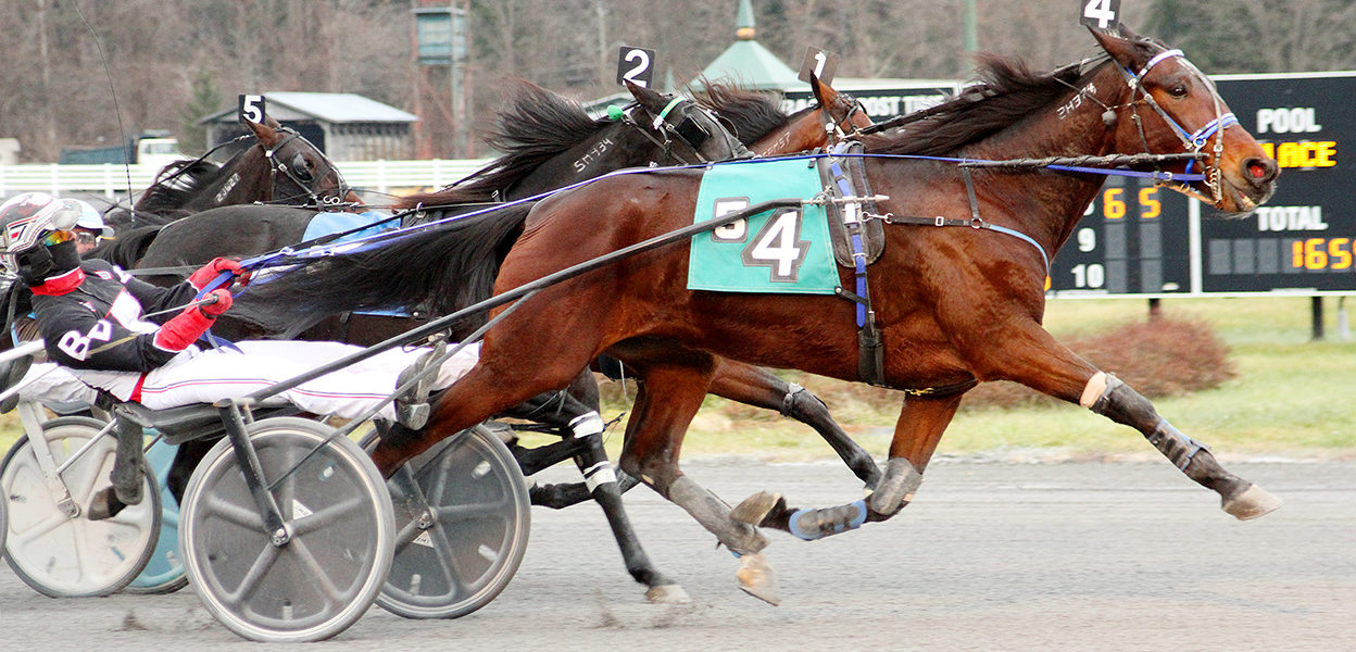 I’m Not Vanilla & Brett Beckwith