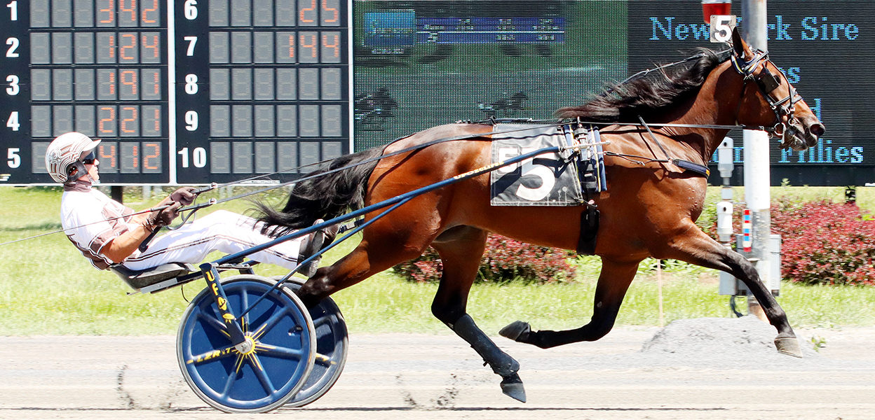 Canterbury Hanover & Brian Sears