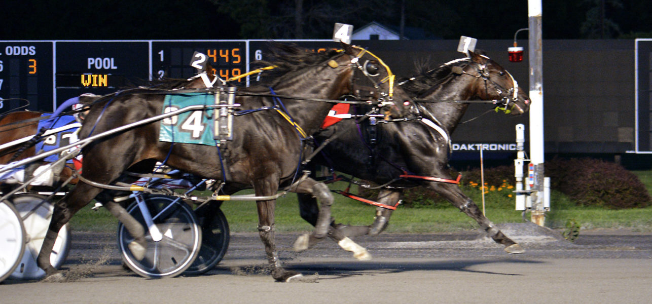 Optical Illusion & Chris Long