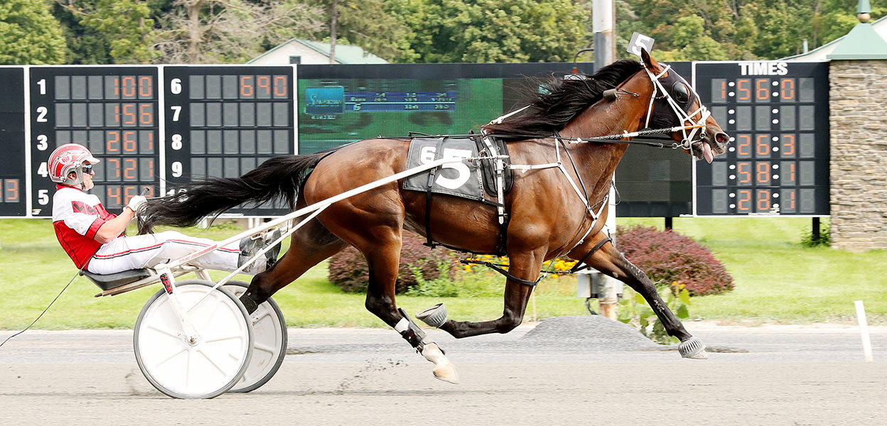 Big Box Hanover & Larry Stalbaum