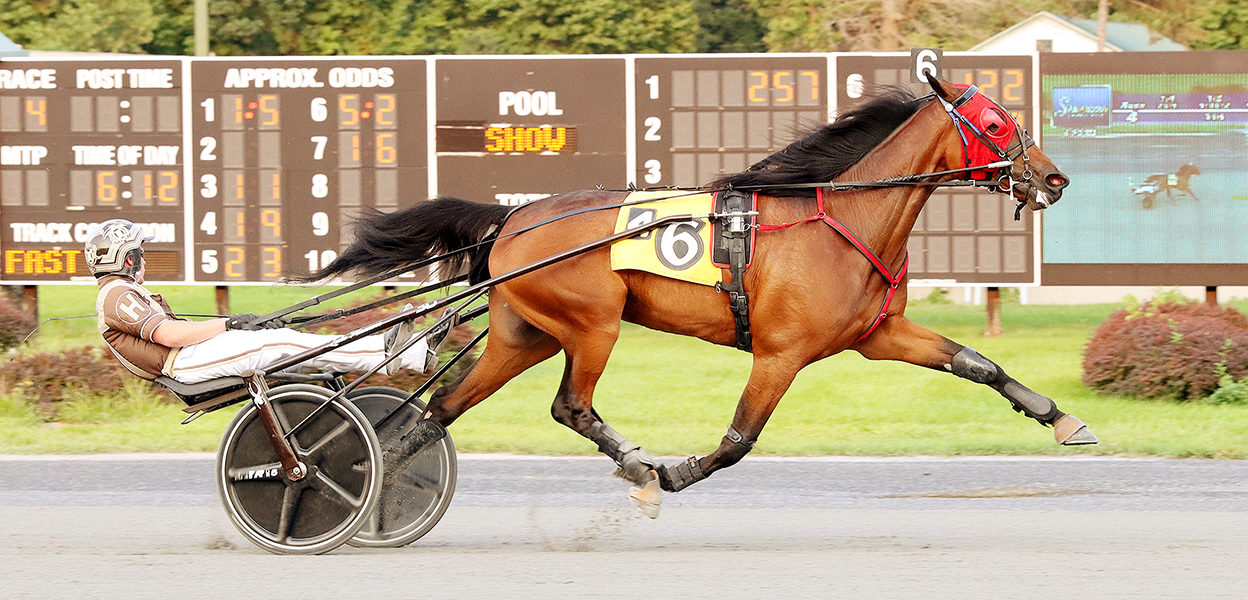 Dingle & Luke Hanners