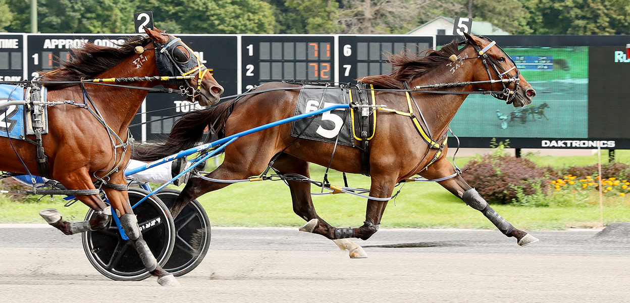 La Bella Vita N & Shawn Gray