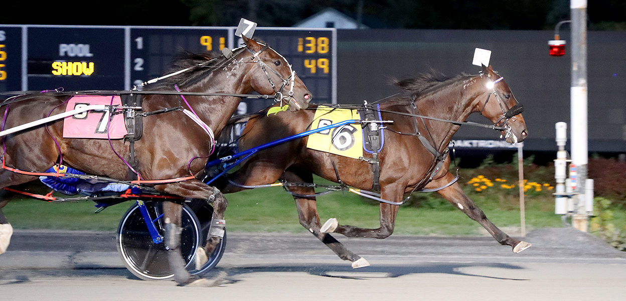 Alluneedisfaith N & Shawn Gray