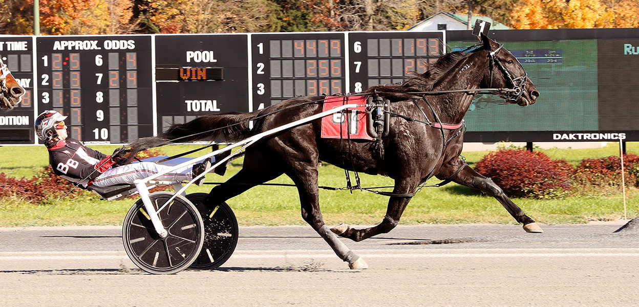 Angel Nation & Brett Beckwith