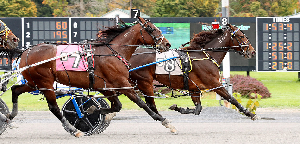 La Bella Vita N & Shawn Gray