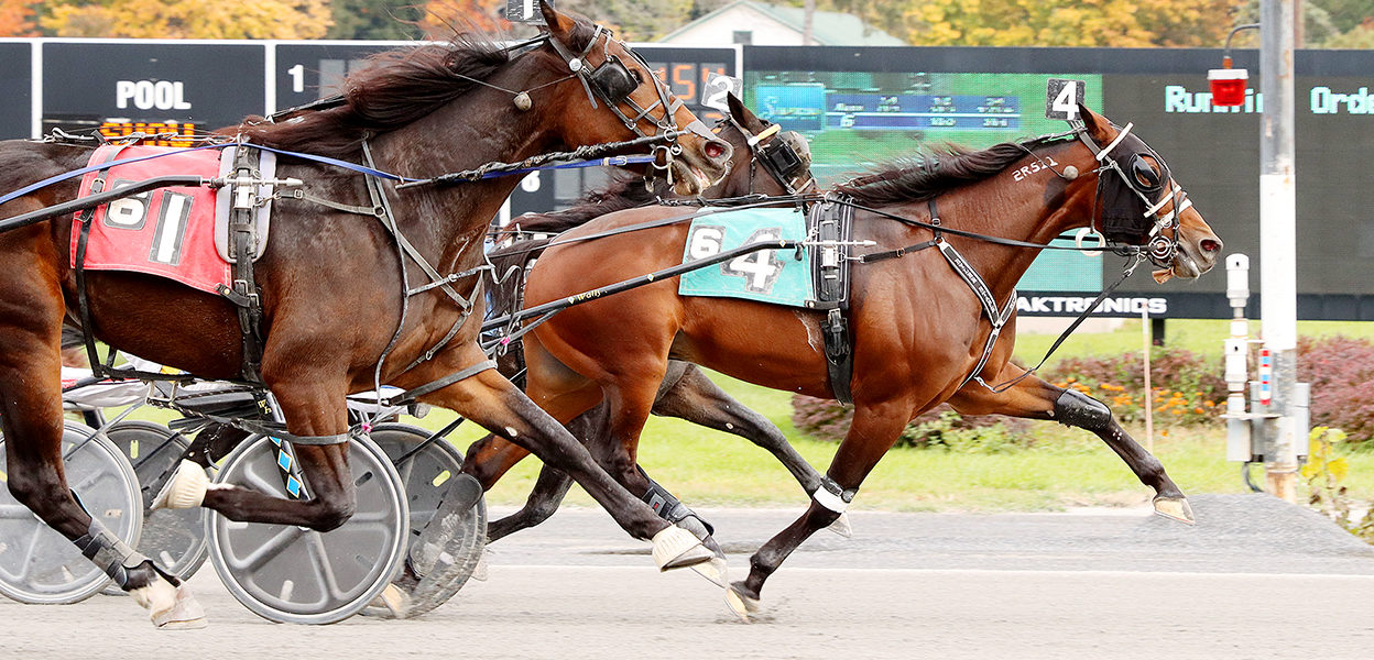 Mark Of A Beast & Wally Hennessey