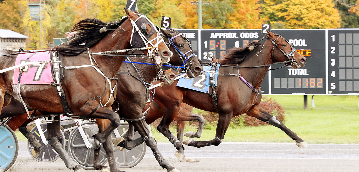 Quadratic Bluechip & Chris Long