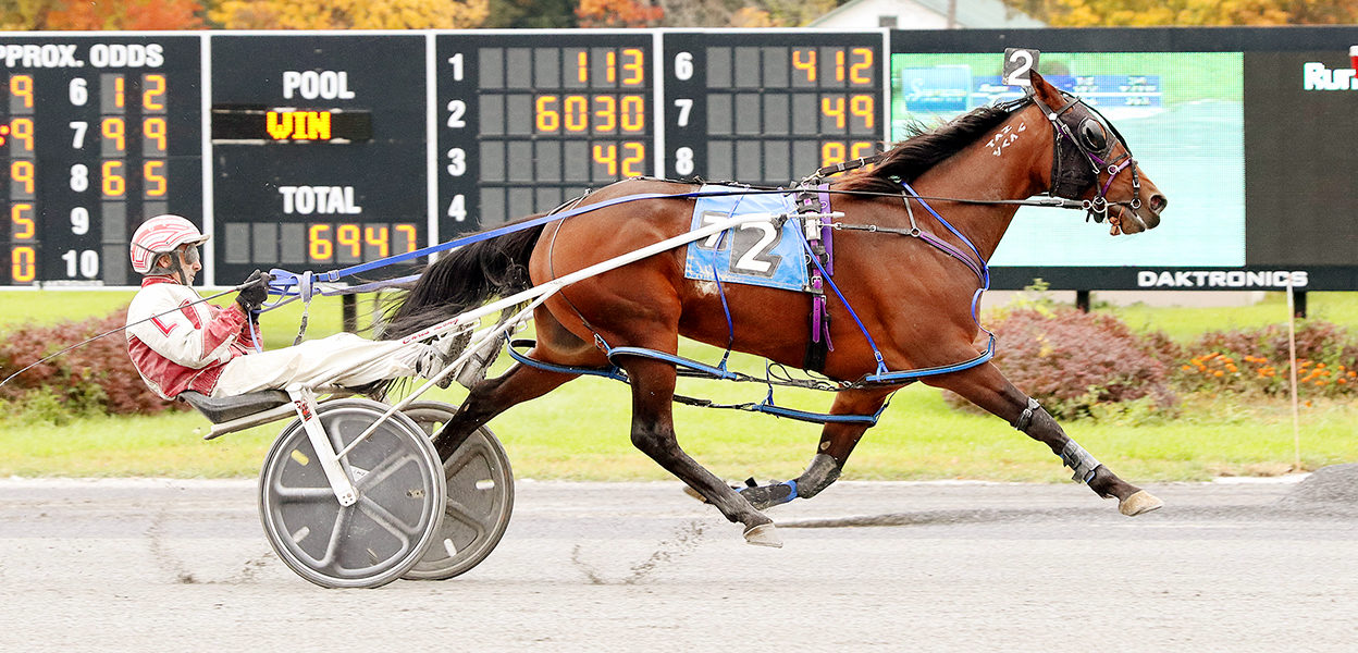 Racey Rach N & Chris Long